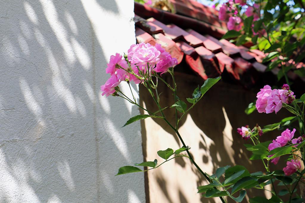 The Hump-Mulan Guest House คุนหมิง ภายนอก รูปภาพ