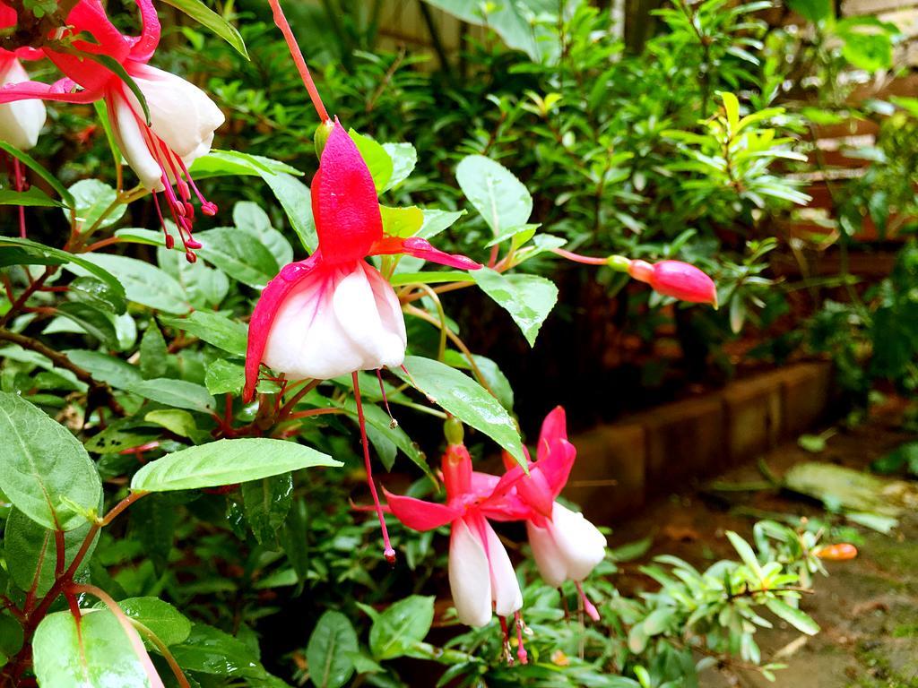 The Hump-Mulan Guest House คุนหมิง ภายนอก รูปภาพ